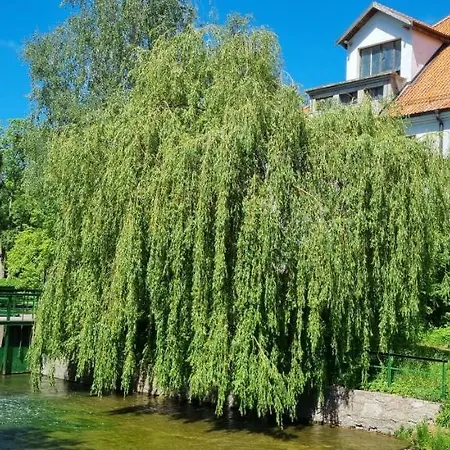 Apartament Zamkowa Park Z Widokiem Na Zamek Krzyzacki Z XIV Wieku , Ogrod, Rzeke I Kanal Wegorzewski